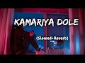 Kamariya Dole Dole lofi song 💙 | Neelkamal slowed and reverb song #lofi  #slowedandreverb #bhojpuri