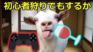 【猫ミーム】初心者狩りの人間性！！占い師編