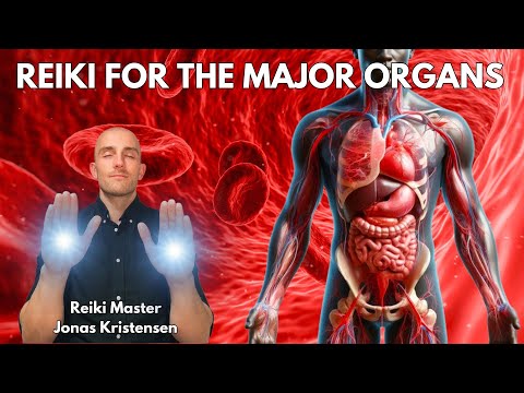 Reiki for the Major Organs in the Body | Energy Healing