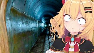 【岩手】帰れるよね、これ？【ホロライブ/赤井はあと】