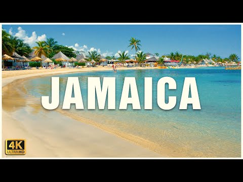 Thinking of traveling to Jamaica? Watch this video first 🇯🇲 🏖️ 🍹