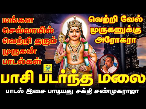பாசி படர்ந்த மலை | Paasi Padarntha Malai | சக்தி சண்முகராஜா | Sakthi Shanmugaraja