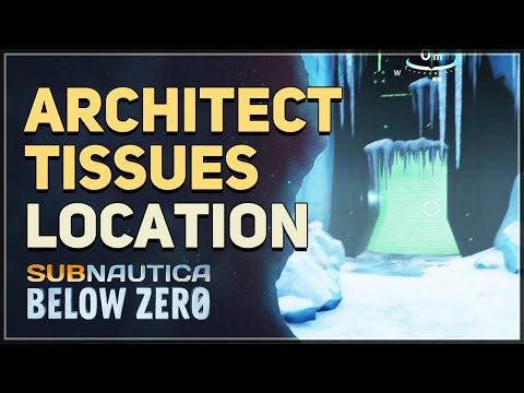 Architect Tissues Below Zero