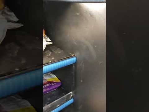 Winn dixie orlando parte kosher