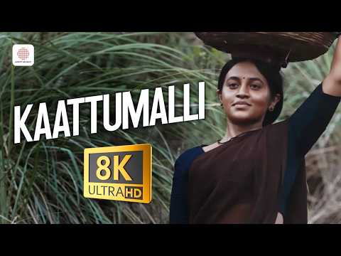 Kaattumalli — watch video