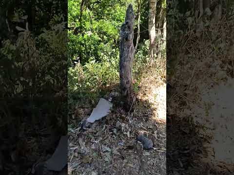 Aquí Estamos Conociendo LAGUNA DE ALEGRÍA USULUTAN BERLÍN Amigo Yo Soy Tío Manuel Live El Salvador