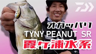 Daiwa metallic peanut 2 dr