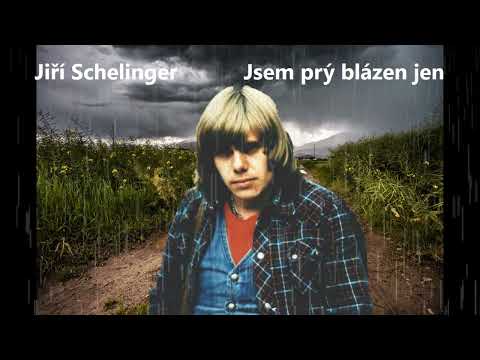 Jsem prý blázen jen - Jiří Schelinger