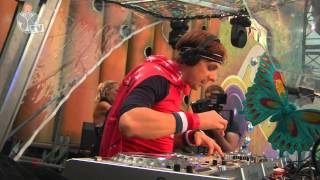 Tomorrowland 2013 - Martin Solveig