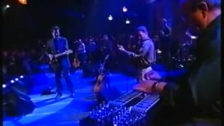 Vince Gill     Never Knew Lonely