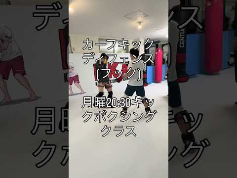 カーフキックディフェンス(フック)