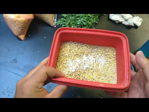 ¿Cómo alimento a mis  Gansos y Patos bebés? 🦆