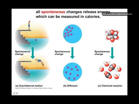 Chemical Reactions, BIO105 Introductory Biology, David Champlin, USM