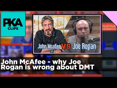 John McAfee - why Joe Rogan is wrong about DMT - PKA Clip