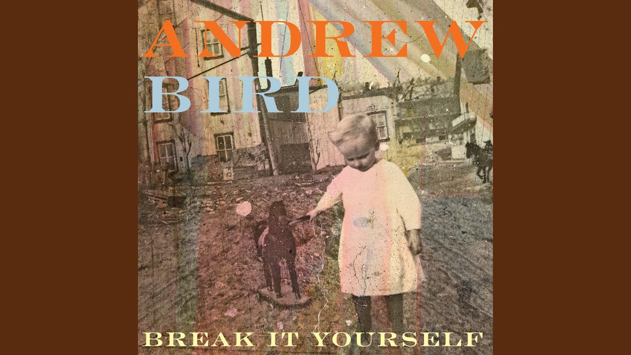 Andrew Bird - Near Death Experience Experience