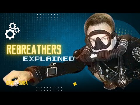 Rebreather Diving Explained: The Science Behind Extended Dives And Reduced Bubbles