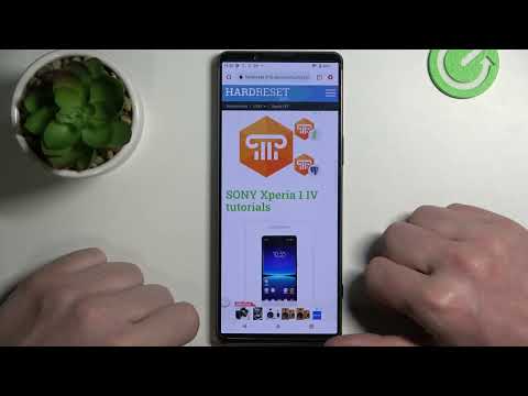 Does SONY Xperia 1 IV Have AMOLED Display?