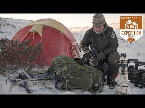 Wildlife Photography in a snowstorm | 4-Day winter trip to Norway - Ep.1