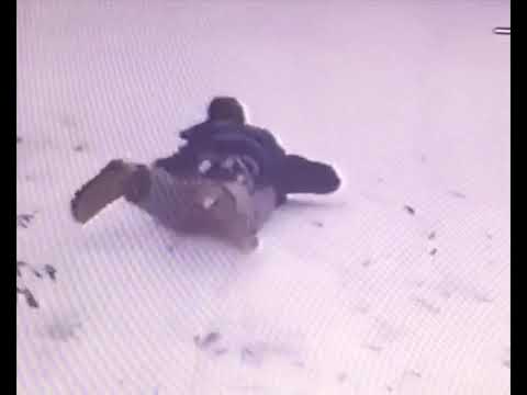 Video thumbnail for ((home movie: shoes on))