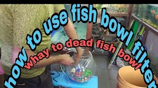 fish bowl how to fit fish bowl filter air pump फिश बाउल में क्यों मछली मर जाती है क्या हम उसमे फिल्ट