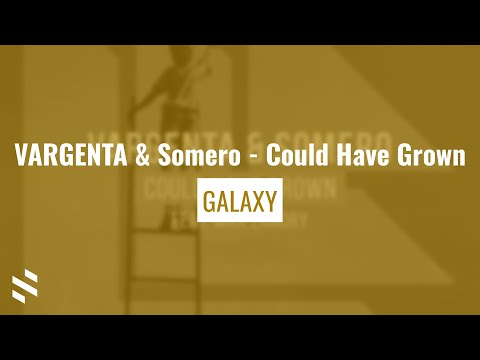 VARGENTA & Somero - Could Have Grown