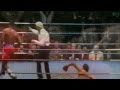 Lennox Lewis Knockouts & Highlights