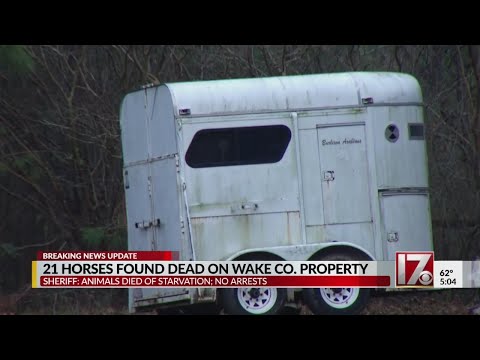 21 dead horses found in Wake County starved to death, authorities say