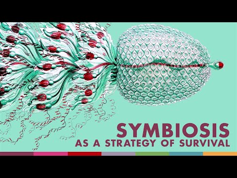 Symbiosis as a Strategy of Survival