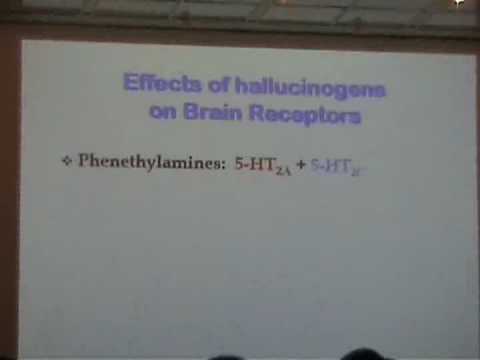 David E. Nichols at LSD symposium 2006