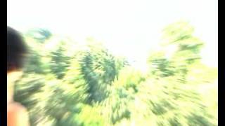 infected mushroom - blink