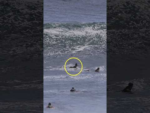 He Waits For The Best Wave - Rio Waida #surfersofbali #surfingbali #surfers