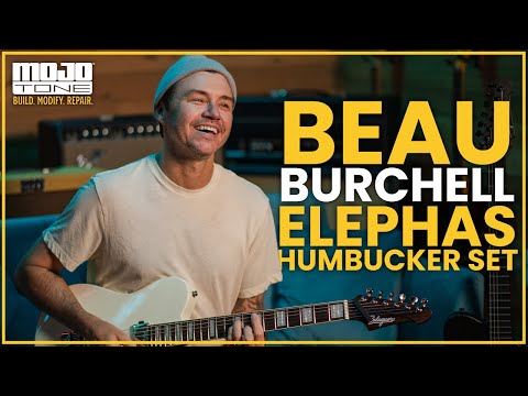 Mojotone Beau Burchell Elephas Humbucker Pickup Set - Chrome image 3