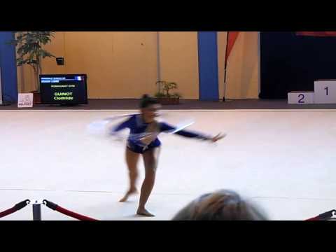 Joyce palma belfort 2014 cerceau