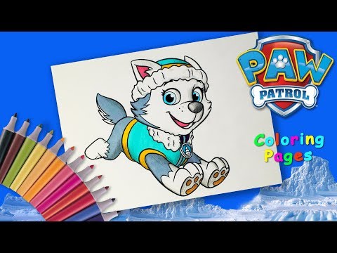Paw patrol Coloring Page #forKids How to draw Everest from #PawPatrol Video