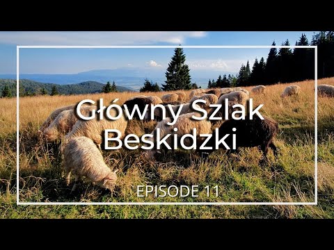 GSB #11 | Krościenko nad Dunajcem - Lubań - Turbacz - Stare Wierchy | [4K]