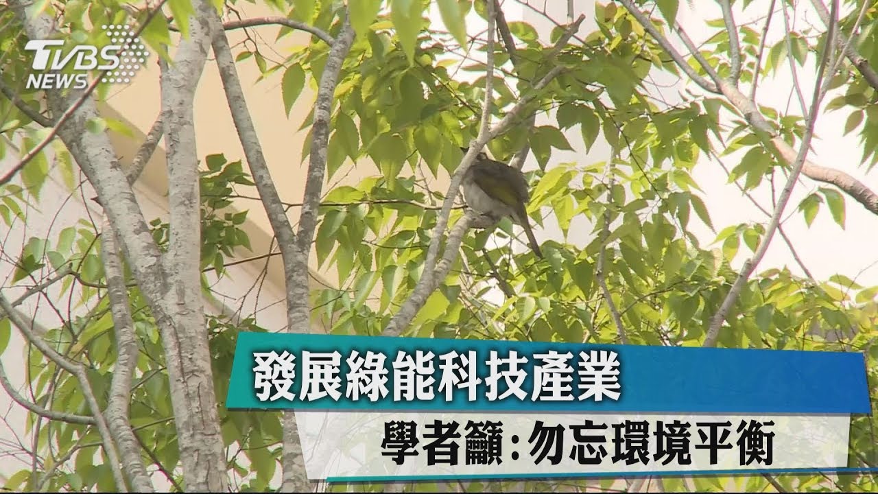 發展綠能科技產業 學者籲:勿忘環境平衡