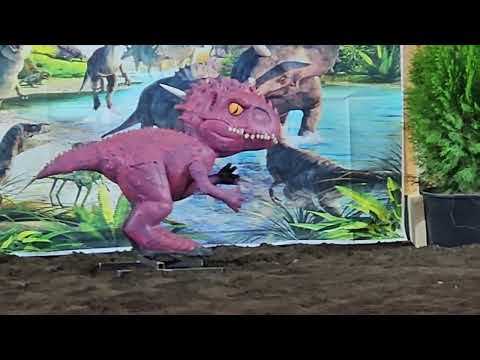 Best of the West Archery Competition ~ Women's Traditional ~ PNE Finals