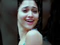 Tamanna Hot Dance Tamannaah Belly Dance Shorts Shortvideo Short