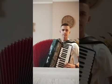 Srce je moje violina (Lepa Lukic) - Harmonika