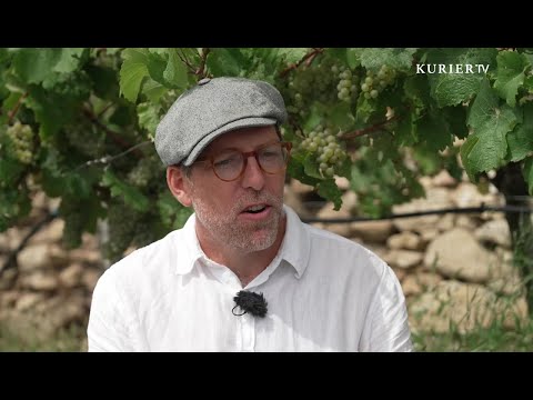 The silent revolution in viticulture