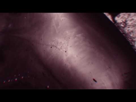 Video thumbnail for Rainbows