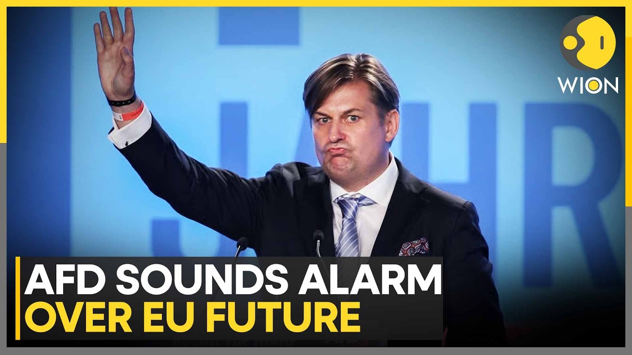 AfD's Maximilian Krah Predicts The EU Could Collapse Within 5-10 Years | WION News