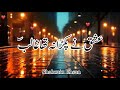 Ishq Ne Pakda Na Tha Ghalib Status Song Rahat Fateh Ali Khan Lyrics Songviral Youtubevideo
