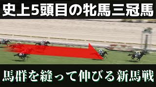 [史實] 日本G1最多勝賞金王 アーモンドアイ介紹