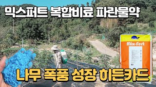 【믹스퍼트 복합비료 주기】 나무 폭풍성장 히든카드 수용성비료 엽면시비 