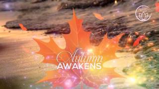 Autumn Awakens – Balancing Darkness with Light