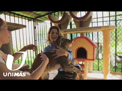 Monserrat Oliver got a scare when a lynx bit her on the neck.