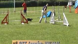 preview picture of video 'GoGo @ DKK agility - Langeskov 2007'