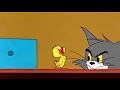 GoodMorning Tom Cat Tom And Jerry