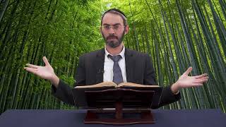 כמה זמן לוקח לעץ במבוק לגדול | מושג יהודי | הרב אשר זנזורי (הרב דניאל זר) - התמונה מוצגת ישירות מתוך אתר האינטרנט יוטיוב. זכויות היוצרים בתמונה שייכות ליוצרה. קישור קרדיט למקור התוכן נמצא בתוך דף הסרטון